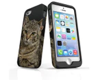 For iPhone SE (1st gen) Case, Protective Back Cover, Brown Tabby Kitten