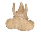 AB Tools Medium Aquatic Aquarium Triceratops Skull Head Fish Tank Ornament 9x12x15cm