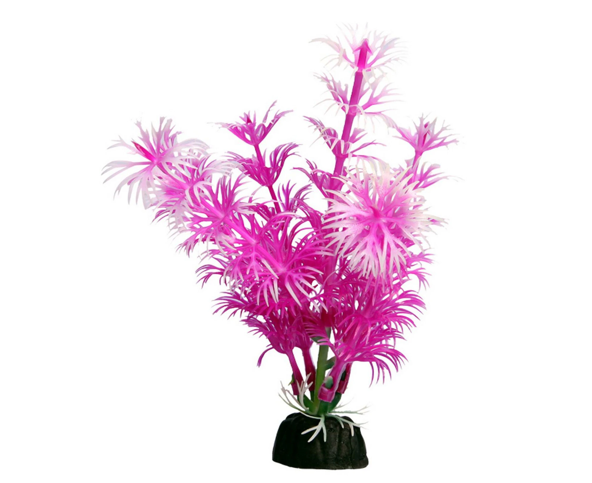 Bettascape Betta Ambulia Pink 14cm Tall Aquarium Plant Fish Tank Décor Aqua One