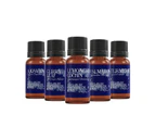 Mystic Moments Oils Of India Essential Oils Gift Starter Pack