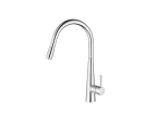Brushed Nickel Pull Out Kitchen Mixer Kasper Series