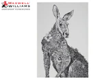 Maxwell & Williams 50x70cm Marini Ferlazzo Tea Towel - Kangaroo