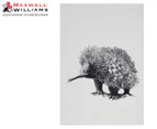 Maxwell & Williams 50x70cm Marini Ferlazzo Tea Towel - Echidna