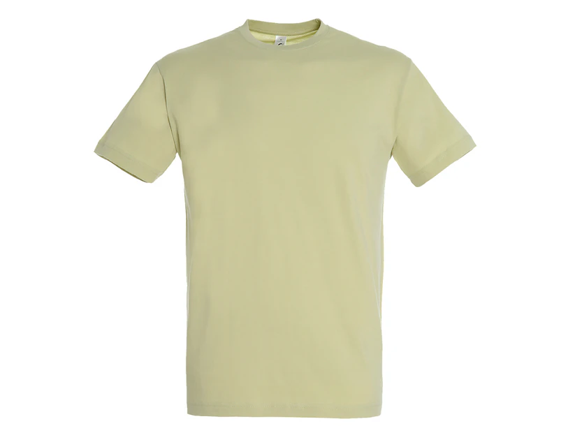 SOLS Mens Regent Short Sleeve T-Shirt (Green Sage) - PC288