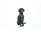 Mog & Bone Neoprene Dog Harness Pitch Triangle Print Extra Extra Large (DAM3148)