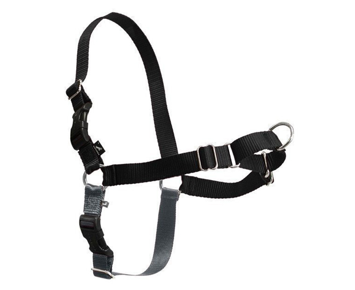 beau pets gentle leader harness