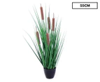 Plantasia 55cm Onion Grass w/ Reeds Artificial Pot Plant