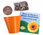 Mrs Green Giant Sunflower Growing Kit