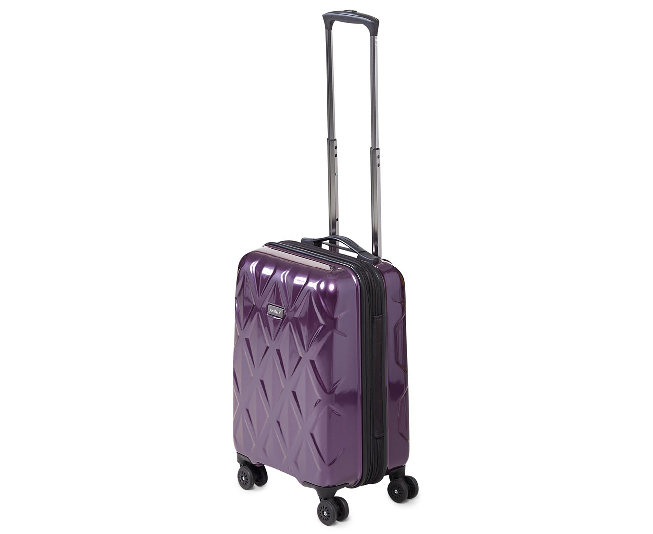 antler burgundy suitcase