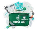 2-in-1 Premium First Aid Kit 258-Piece Set