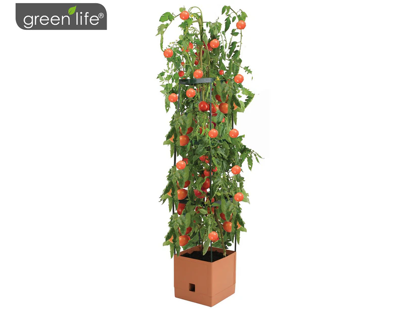 Greenlife Tomato Tower 3 Tier + Self Watering Pot - Terracotta