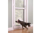 Staywell Big Cat/Small Dog Pet Door - Frosted Clear