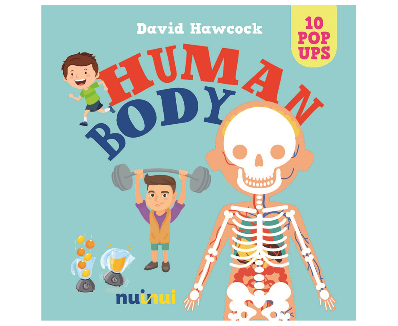 10 Pop Ups: Human Body Hardcover Book by David Hawcock | Catch.co.nz