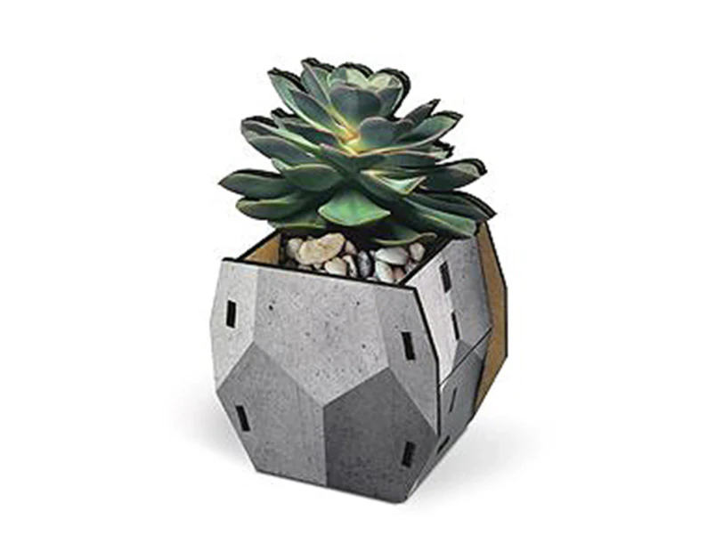 Fred Pop Plants Pencil Holder - Echeveria