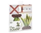 Fred Pop Plants Pencil Holder - Snake Plant 2