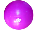 Bodyassist Fitness Wellness Swiss Gym Fit exercise wellness Ball - Pink