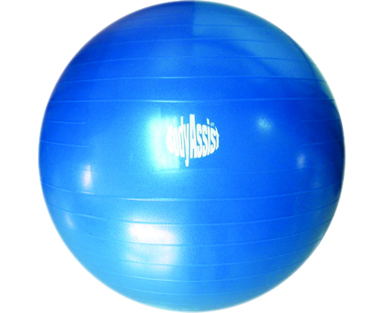 Bodyassist Fitness Wellness Swiss Gym Fit exercise wellness Ball - Blue