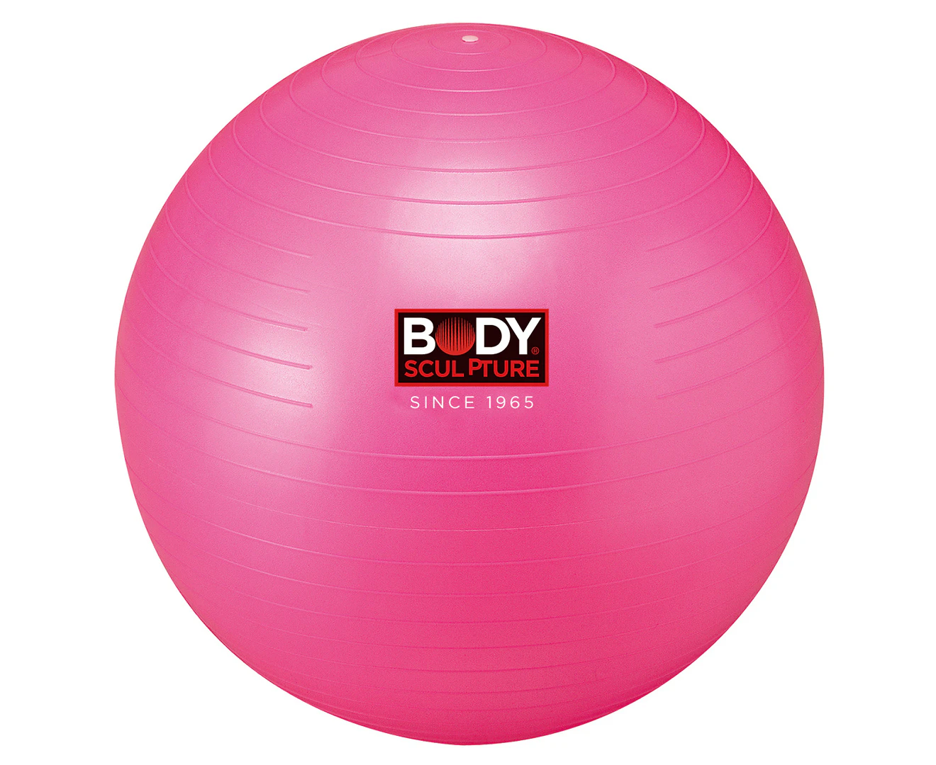 Body Sculpture Anti Burst 55cm Gym Ball Fitness Training/Workout Exercise Blue