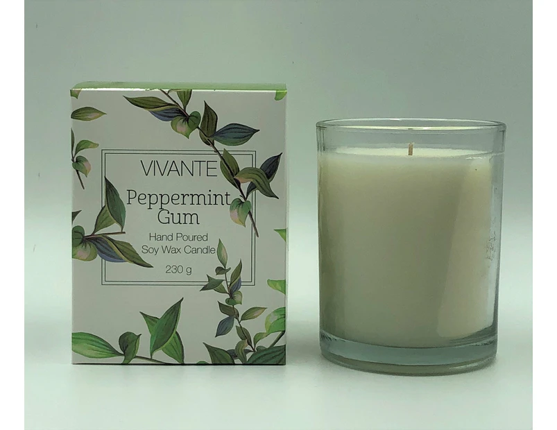 Australiana Peppermint Gum Aromatherapy Soy Candle 230g- Stimulating and Energising - Vivante - Mothers Day Gift Idea