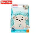 Fisher-Price Calming Vibes Hedgehog Soother Toy