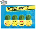 My Silly Family Grass Heads Grow Set