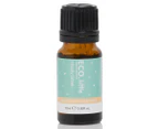 ECO. Little Study Time Blend 10mL