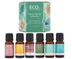 ECO. Diffuser Blends Collection 6-Pack