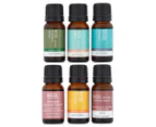 ECO. Diffuser Blends Collection 6-Pack