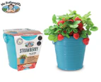 Mr. Fothergill's Strawberry Tin Grow Kit