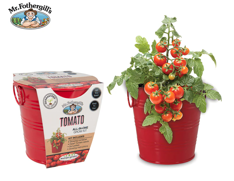 Mr. Fothergills Tomato Tin Grow Kit