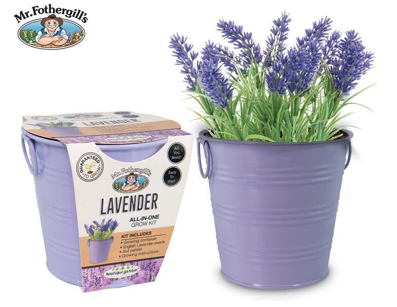 Mr. Fothergill's Lavender Tin Grow Kit