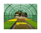 Greenfingers Greenhouse Garden Shed Green House Replacement *Cover Only* 6X3X2M