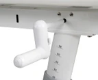Ergovida Giant E503 Adjustable Height Desk - Grey/White