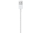 Apple Lightning to USB Cable (0.5m) 3