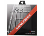 Artist ACST1253 12-53 Acoustic Guitar Steel Strings 12 Pack