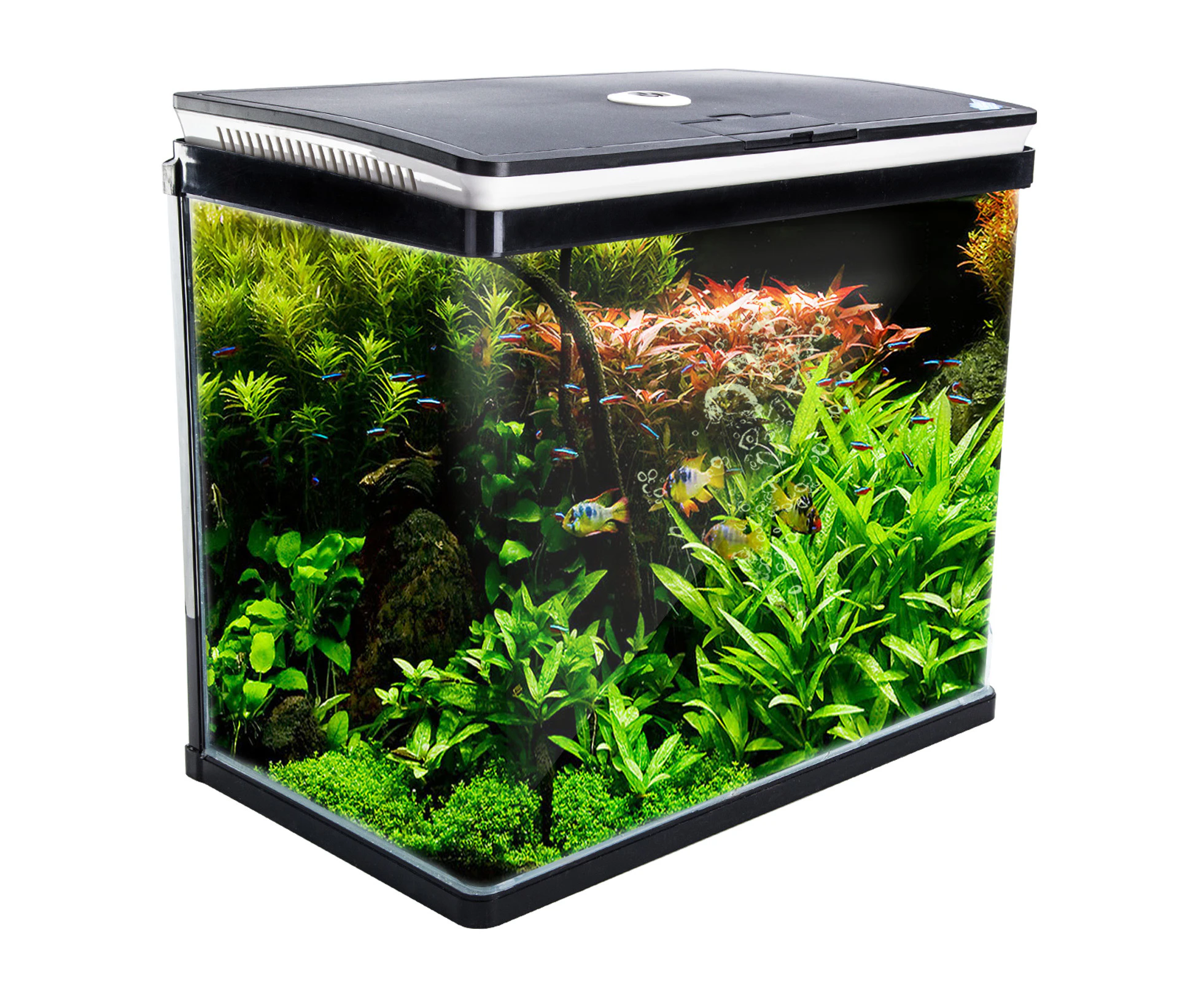 Dynamic Power Aquarium Fish Tank 52L Curved Glass RGB LED