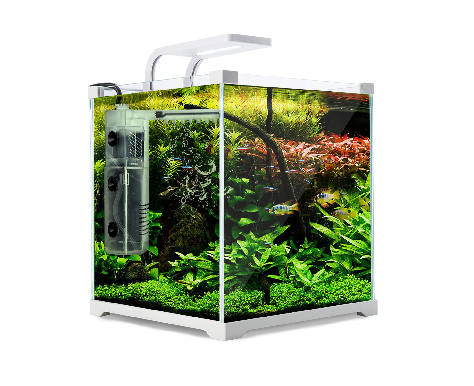 Dynamic Power Aquarium Fish Tank 16L Starfire Glass