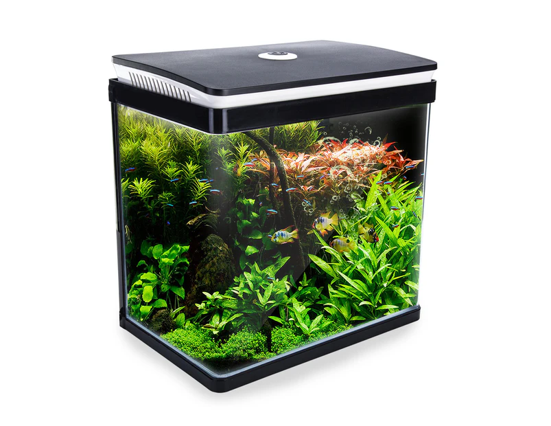 Dynamic Power Aquarium Fish Tank 30L Curved Glass RGB LED