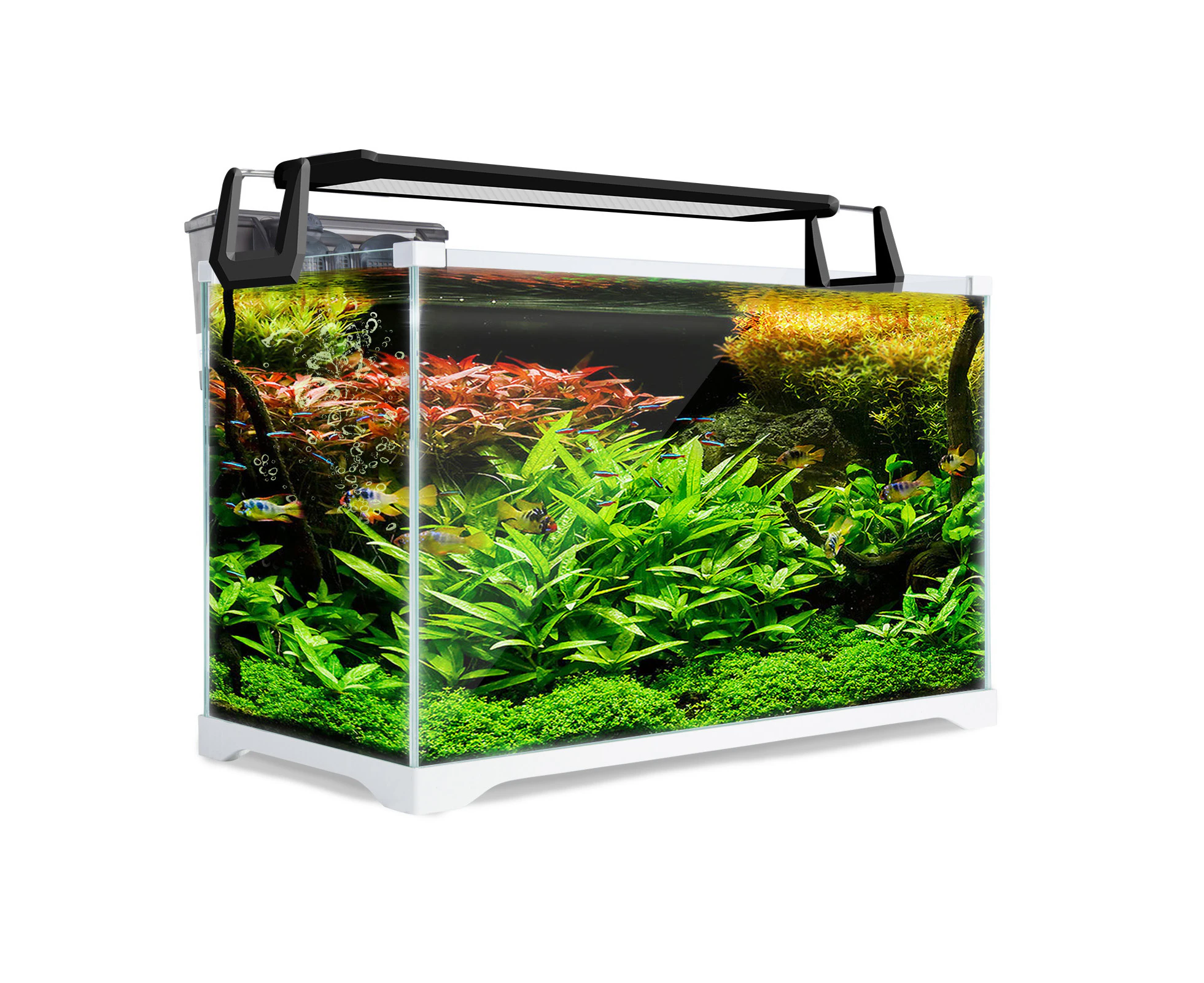 Dynamic Power Aquarium Fish Tank 39L Starfire Glass