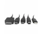 Universal USB Wall/Car Charger Kit for iPhone/Camera Nintendo DSI/PSVita
