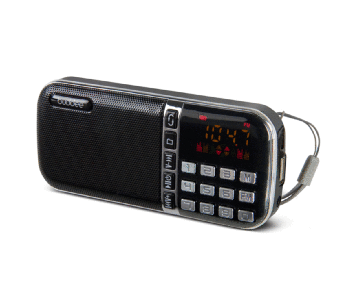 Buddee Portable AM/FM Radio/Speaker USB/TF/MicroSD Port Rechargeable Black