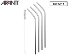 Avanti 4-Piece Reusable Straw Set w/ Cleaning Brush