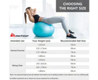 METEOR 75cm Anti-Burst Swiss Ball with Pump Yoga Pilates Rehab (Red)