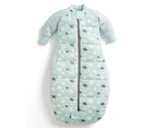 Ergopouch Sleeping Bag Heritage  3.5 Tog 8-24 M Mint Clouds