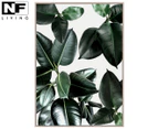 NF Living 83x123cm Eira Rubber Plant Leaves Print Wall Art