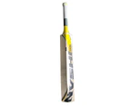 Gx93 Players Grade English Willow Cricket Bat