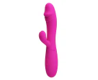 PRETTY LOVE Snappy G Spot Rabbit Vibrator - USB Edition