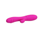 PRETTY LOVE Snappy G Spot Rabbit Vibrator - USB Edition