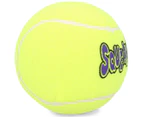 Large Squeaky Dog Balls 2pk