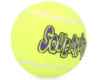 Medium Squeaky Dog Balls 3pk